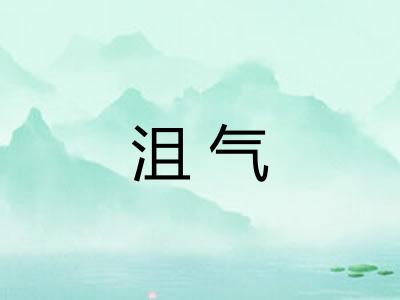 沮气