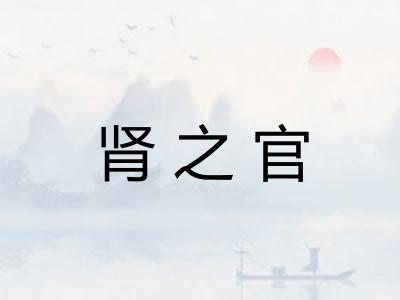肾之官