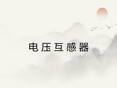 电压互感器