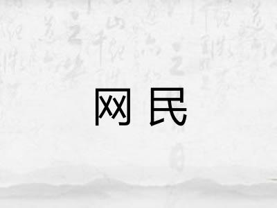 网民