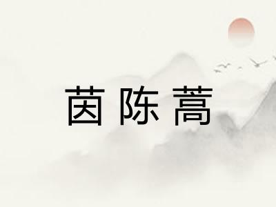 茵陈蒿