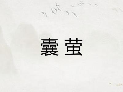 囊萤