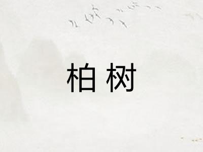 柏树