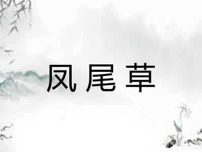凤尾草