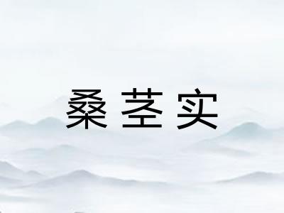 桑茎实