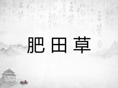 肥田草