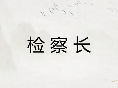 检察长