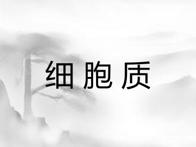 细胞质