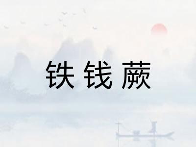 铁钱蕨