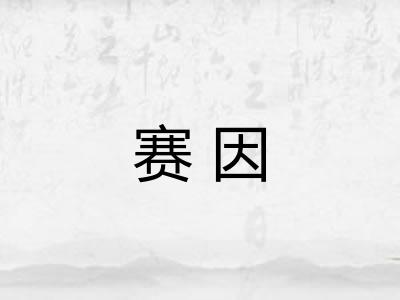 赛因