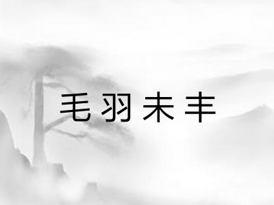 毛羽未丰