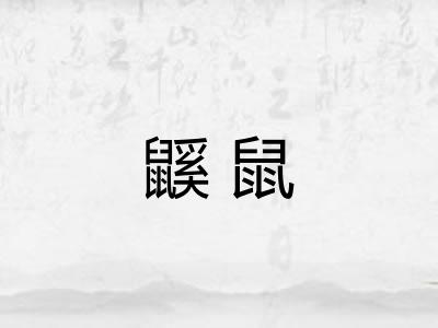 鼷鼠