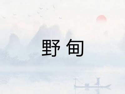 野甸