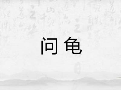 问龟