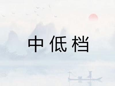 中低档