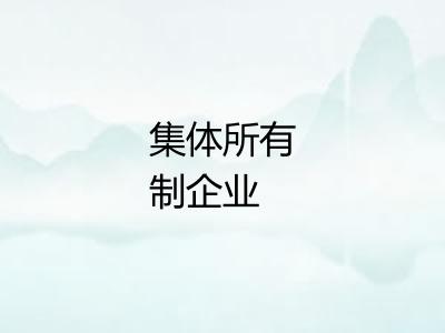 集体所有制企业