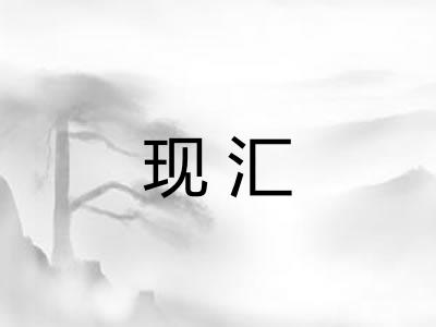 现汇