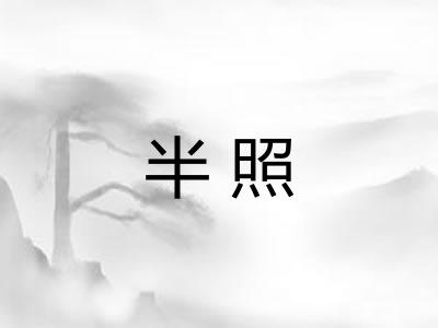 半照