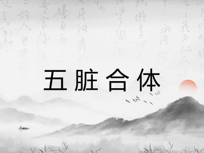 五脏合体