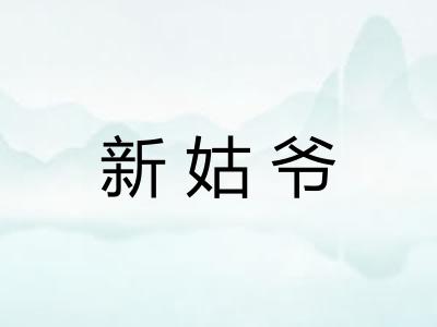 新姑爷