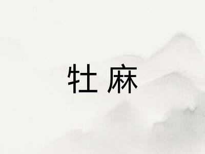 牡麻
