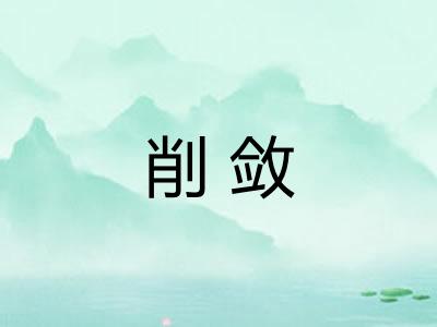 削敛