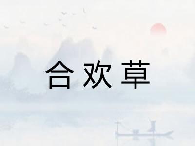 合欢草