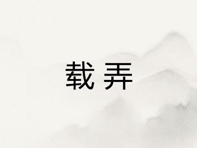 载弄