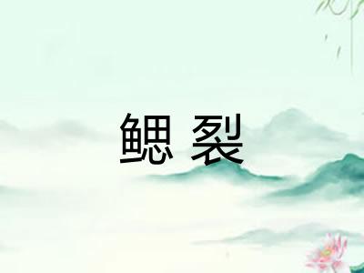 鳃裂