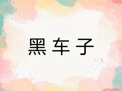 黑车子