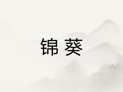 锦葵
