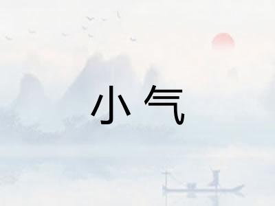 小气