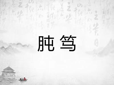 肫笃