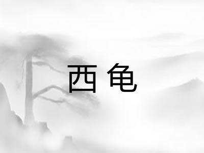 西龟