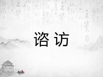 谘访