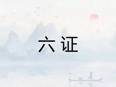 六证