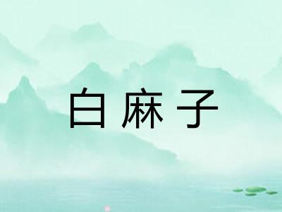 白麻子