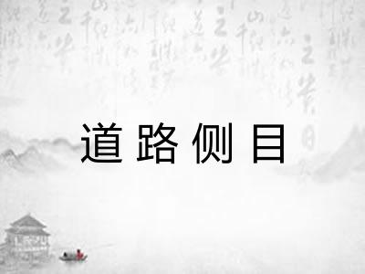 道路侧目