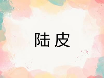陆皮