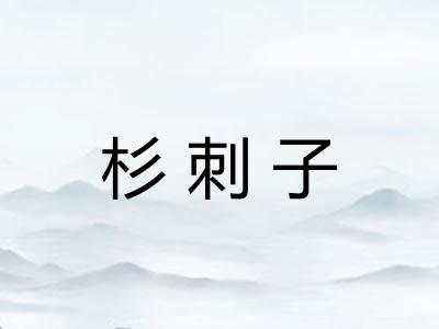 杉刺子