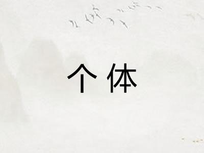 个体