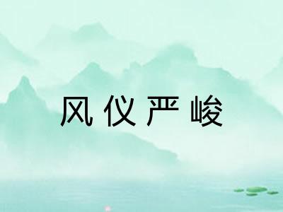 风仪严峻