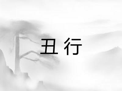丑行