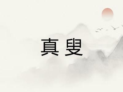 真叟