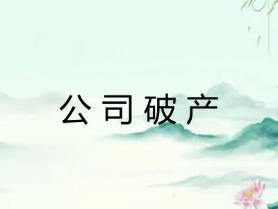 公司破产