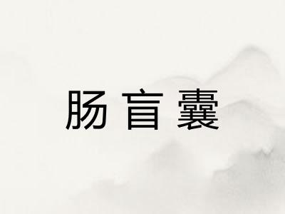 肠盲囊