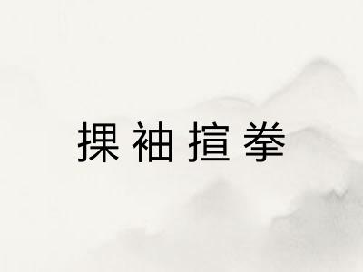 捰袖揎拳