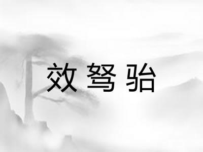 效驽骀