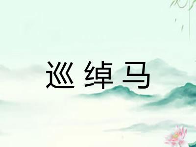 巡绰马