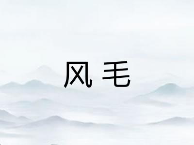 风毛
